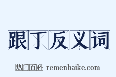 跟丁反义词是什么意思的图片